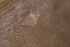 100 % Pure Silk Linen Saree – with silk mark  West Bengal Handloom.