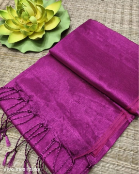 Handloom cotton Tissue Zari with blouse. Lightweight, comfortable all day. Easy to drape.